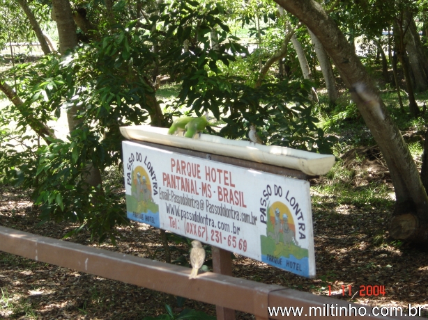 Foto - Lontra (21).jpg